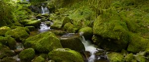 Превью обои вода, река, водопад, камни, мох, зелень, природа