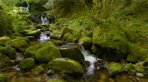 Превью обои вода, река, водопад, камни, мох, зелень, природа
