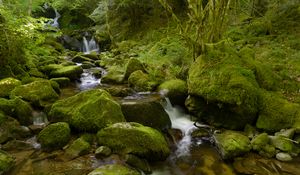 Превью обои вода, река, водопад, камни, мох, зелень, природа