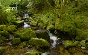 Превью обои вода, река, водопад, камни, мох, зелень, природа