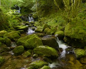 Превью обои вода, река, водопад, камни, мох, зелень, природа