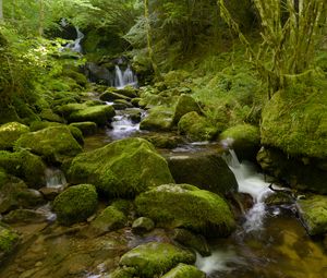 Превью обои вода, река, водопад, камни, мох, зелень, природа