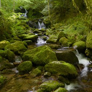 Превью обои вода, река, водопад, камни, мох, зелень, природа