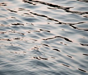 Превью обои вода, рябь, блики, волны, волнистый