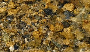 Превью обои вода, рябь, дно, камни, прозрачный