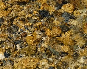 Превью обои вода, рябь, дно, камни, прозрачный