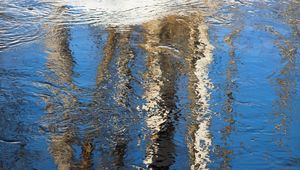 Превью обои вода, рябь, отражение, деревья, весна