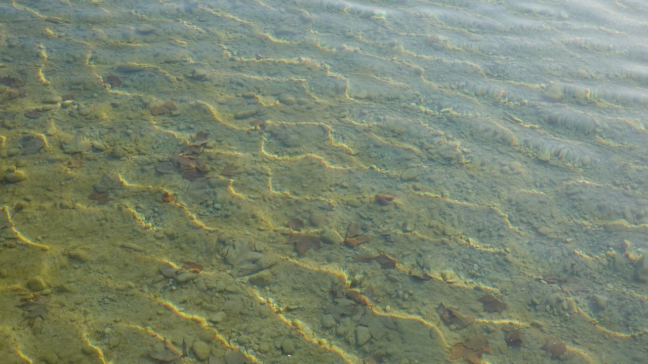 Обои вода, рябь, прозрачный, дно