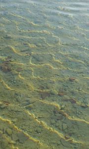 Превью обои вода, рябь, прозрачный, дно