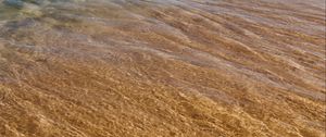 Превью обои вода, рябь, прозрачный