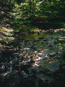 Превью обои вода, ручей, камни, деревья, лес, темный, природа