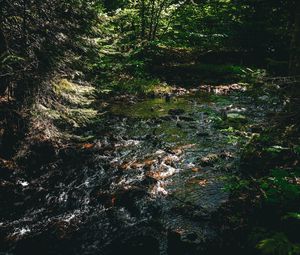 Превью обои вода, ручей, камни, деревья, лес, темный, природа