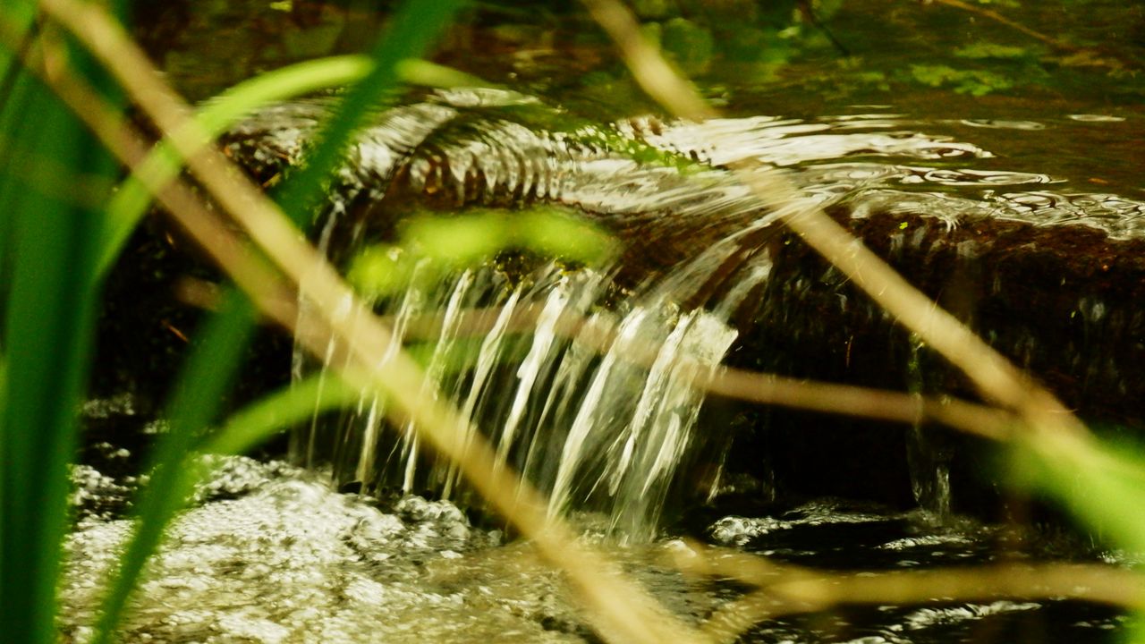 Обои вода, ручей, природа