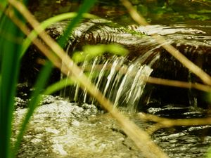 Превью обои вода, ручей, природа