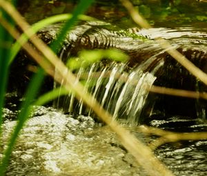 Превью обои вода, ручей, природа