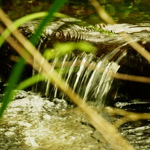 Превью обои вода, ручей, природа