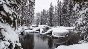 Превью обои вода, снег, лес, снежный