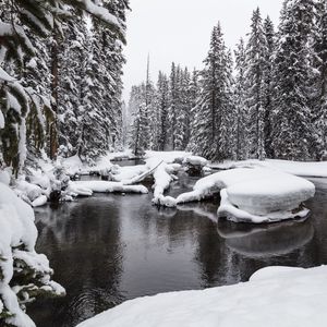 Превью обои вода, снег, лес, снежный