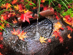 Превью обои вода, струя, листья, осень, камень