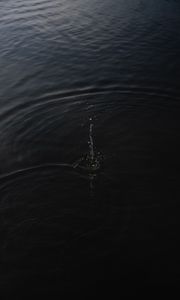 Превью обои вода, волны, брызги, капли, черный