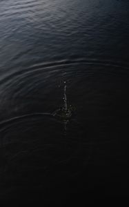 Превью обои вода, волны, брызги, капли, черный
