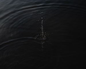 Превью обои вода, волны, брызги, капли, черный