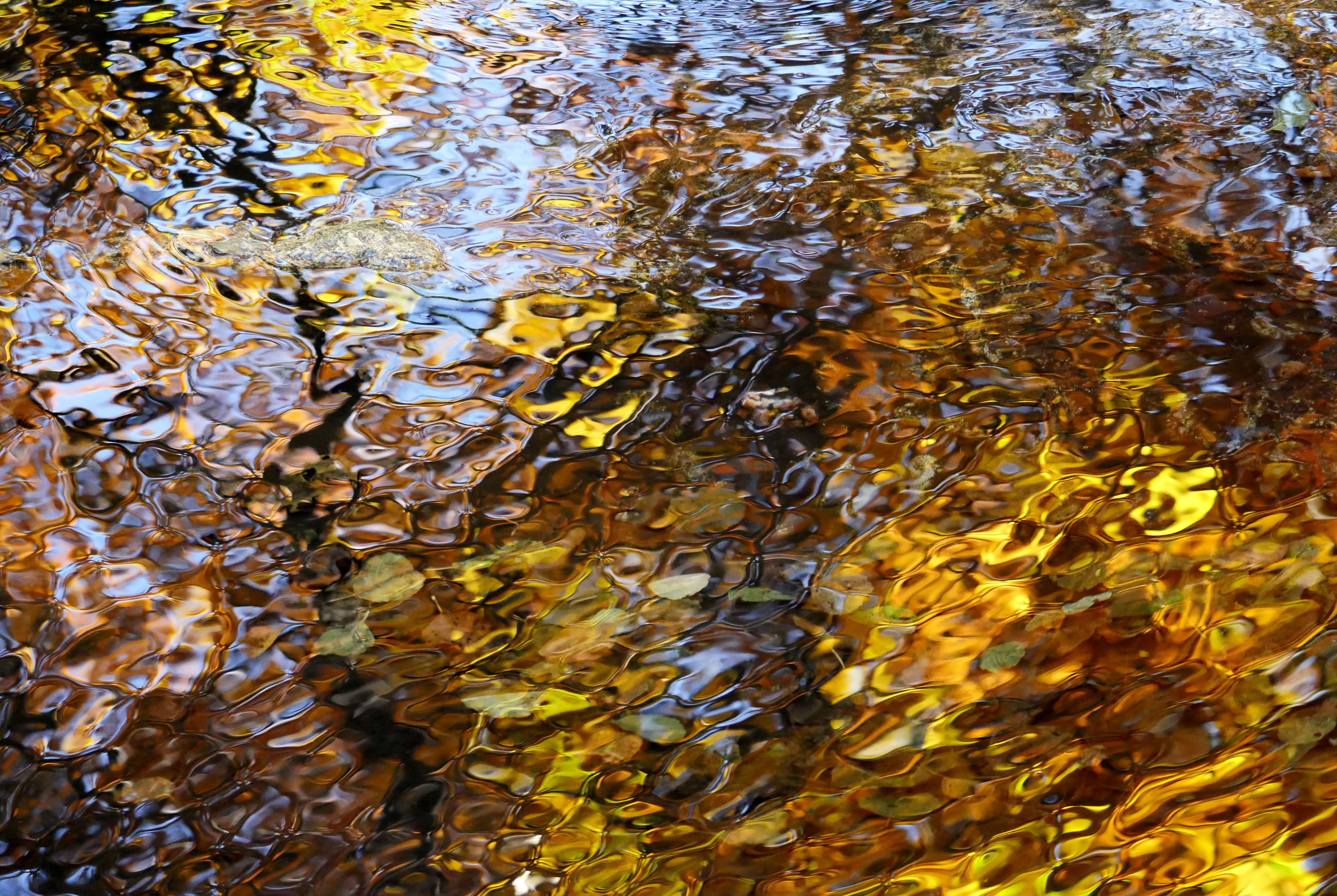 Отражение Осени В Воде Фото