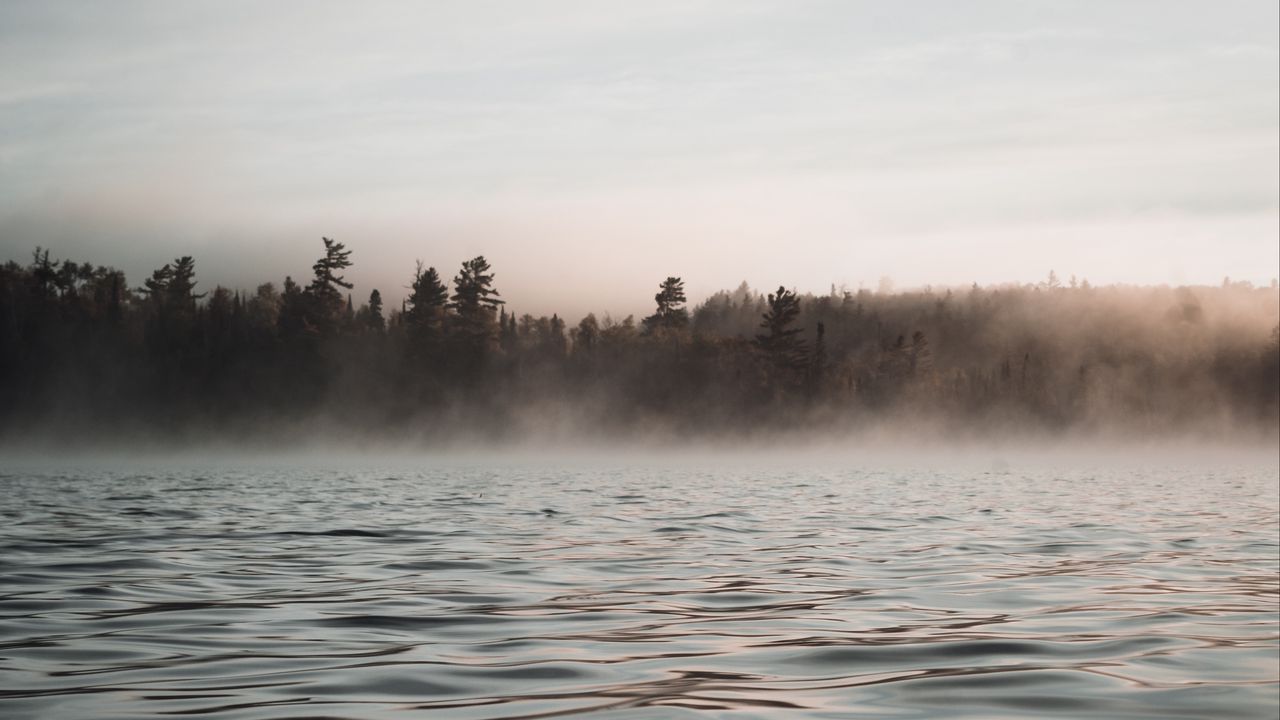 Обои вода, волны, туман, деревья, сумерки