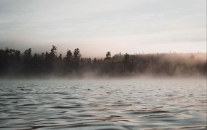 Превью обои вода, волны, туман, деревья, сумерки