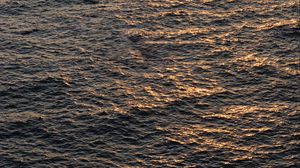 Превью обои вода, волны, волнистый, море