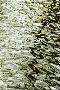 Превью обои водная гладь, блики, волнистый