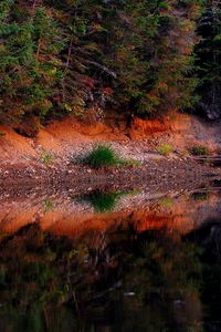 Превью обои водоём, лес, деревья, пейзаж