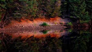 Превью обои водоём, лес, деревья, пейзаж