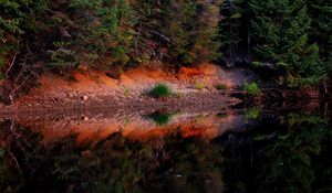 Превью обои водоём, лес, деревья, пейзаж