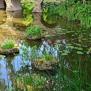 Превью обои водоём, мост, растительность, природа