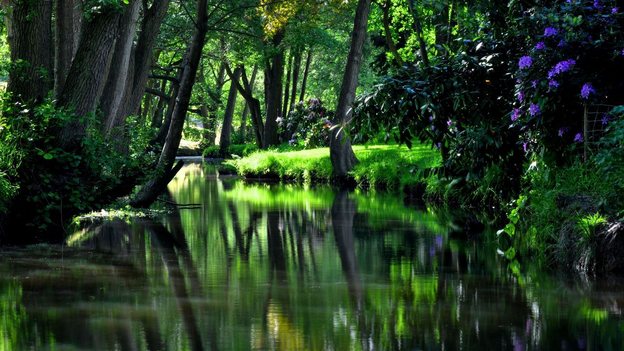 Обои водоем, река, сад, цветы, деревья, тень, прохлада, лето