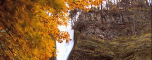 Превью обои водопад, брызги, деревья, осень, длинная выдержка, природа