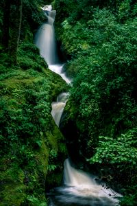 Превью обои водопад, брызги, камни, трава, мох