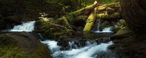 Превью обои водопад, брызги, коряги, мох