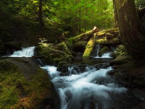 Превью обои водопад, брызги, коряги, мох