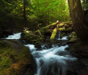 Превью обои водопад, брызги, коряги, мох