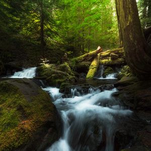 Превью обои водопад, брызги, коряги, мох