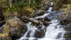 Превью обои водопад, деревья, камни, бревна, долгая выдержка