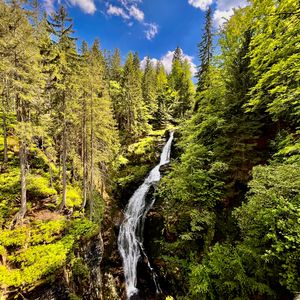 Превью обои водопад, деревья, лес