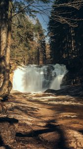 Превью обои водопад, деревья, лес, пейзаж