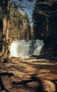 Превью обои водопад, деревья, лес, пейзаж