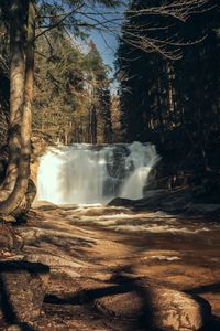 Превью обои водопад, деревья, лес, пейзаж