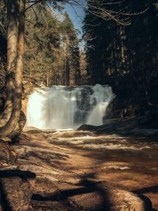Превью обои водопад, деревья, лес, пейзаж