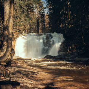 Превью обои водопад, деревья, лес, пейзаж