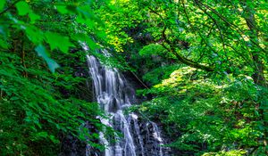 Превью обои водопад, деревья, листья, пейзаж, природа